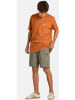 Reell Short "Reflex Easy Cargo Short Br" in Grün