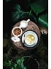 Seltmann Weiden Milch- und Zucker-Set Life Fashion je 260 ml in Glamorous Black