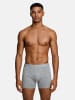 Tazzio Boxershorts 6er-Pack "BS1002" in Basic-Streifen