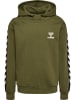 Hummel Hoodie Hmltakao Hoodie in OLIVE NIGHT