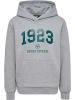 Hummel Kinder Hoodie "Hmlnipps Hoodie" in Grau