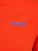 Hummel Hummel T-Shirt Hmllgc Unisex Erwachsene in ORANGE.COM