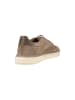 Camel Active Sneaker in Taupe