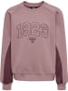 Hummel Sweatshirt Raglanärmel Hmlkanna E-Sport Mädchen in TWILIGHT MAUVE