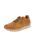 Cetti Sneaker low C-848 EXP INV25 in Braun