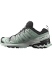 SALOMON Trailrunning-Schuh XA PRO 3D V9 GORE-TEX in quiet shade/lily pad/blue haze