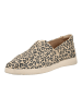 TOMS Slipper in Leopard