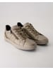 Geox Sneaker low in Bronze