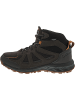 Jack Wolfskin Woodland 2 Texapore Mid M Wanderstiefel Braun