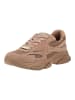 Steve Madden Sneaker FRONT ROW Tan