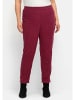 sheego Gerade Cordhose in bordeaux