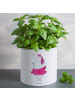 Mr. & Mrs. Panda XL Blumentopf Einhorn Ballerina ohne Spruch in Weiß