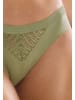 Triumph Brazil Slip Aura Spotlight T in Olive gold