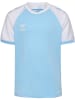 Hummel T-Shirt Raglanärmel Hmlmatch Kinder in ARGENTINA BLUE/WHITE