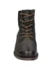 Josef Seibel Stiefelette Sienna 95 in bosco