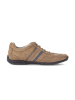 Pius Gabor Sneaker low in beige