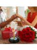 relaxdays Ewige Rose - (H)22 x Ø 11 cm