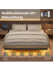 VASAGLE Bettgestell Conner in Mattschwarz - (B)180 x (H)26 x (T)200 cm