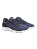 LLOYD SHOES "AURELIO" in Blau