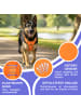 Reichstadt Reichstadt  Hundegeschirr  25RSP083 Orange L