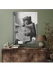 OnlyWow Akustibild Zeitung Affe