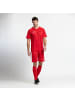 Derbystar Kinder Trikot "Trikot Kurzarm Primo V24" in Rot
