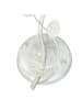 Licht-Erlebnisse Wandlampe (B)20 x (H)32 cm in Creme Weiß
