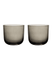 2er Set Wassergläser Like Glass in Smoke 280 ml
