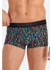 HOM Hipster Short / Pant Floyd in Mehrfarbig