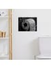 MuchoWow Leinwand bilder Toilettenpapier (BxH)