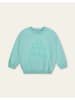 Oilily Harvey Sweater in Grün