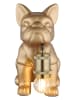 Globo lighting Tischleuchte "DOGO" in gold