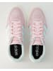 adidas Schnürschuhe in Rosa