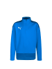 Puma Sweatshirt teamGOAL 23 in blau / dunkelblau