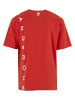 DNGRS Dangerous T-Shirt in red clay