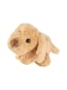 Sigikid Kuscheltier Hund Flauscherie Plüschtier in Beige