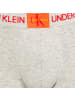 CALVIN KLEIN UNDERWEAR Boxershorts in Gray