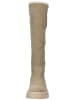 ILC Stiefel in Taupe