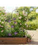 relaxdays 2 x Rankgitter "Vogel" in Schwarz - (B)50 x (H)116 cm