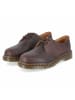 Dr. Martens Schnürhalbschuh in brown