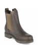 PANAMA JACK Chelsea Boots FRANCESCA IGLOO in grün