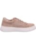 Gabor Sneaker  in Beige
