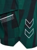 Hummel Hummel Kurze Hose Hmlcourt Paddeltennis Herren in RAIN FOREST