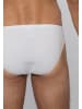 Ammann Slip / Unterhose Cotton & More in Weiß