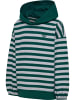 Hummel Kapuzenpullover Hmljr Conelly Lebensstil Kinder in FOREST BIOME