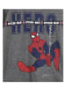 Spiderman Langarmshirt Longsleeve in Grau
