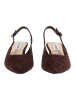 Steve Madden Pumps KORRA in Coffee