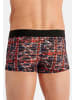 HOM Hipster Short / Pant Malcom in Schwarz / rot