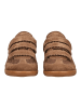 Steve Madden Sneaker MOMENTUM-M Braun