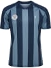 Hummel T-Shirt Hmlpulse Herren in BLUE MIRAGE/DRESS BLUE